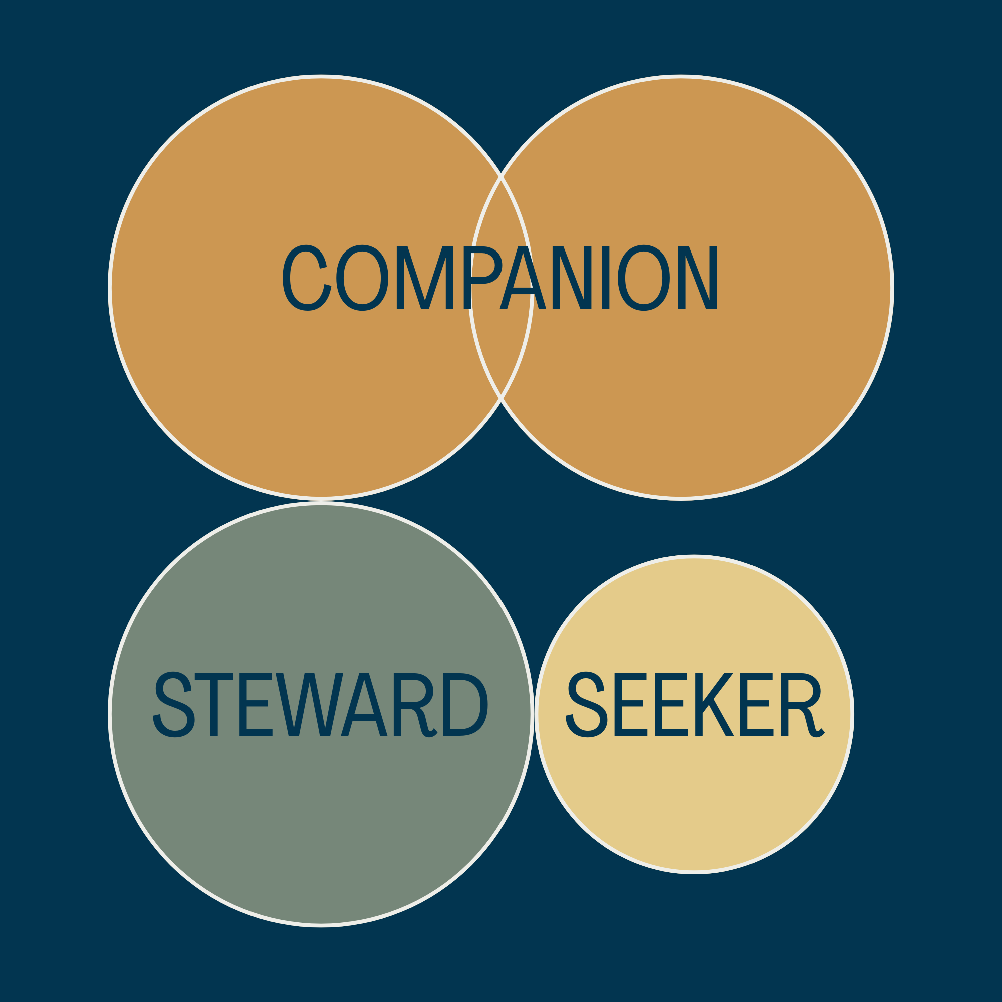 Spark Life Family Program Diagram