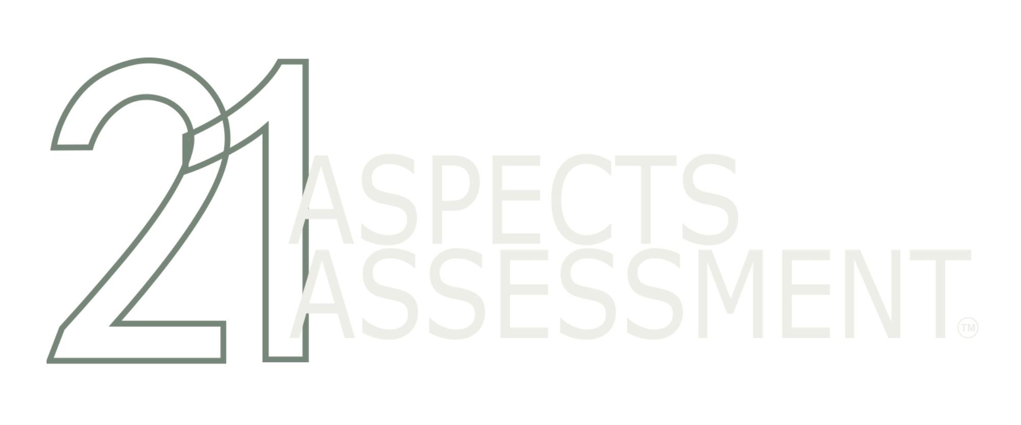 21 Aspects Assessment
